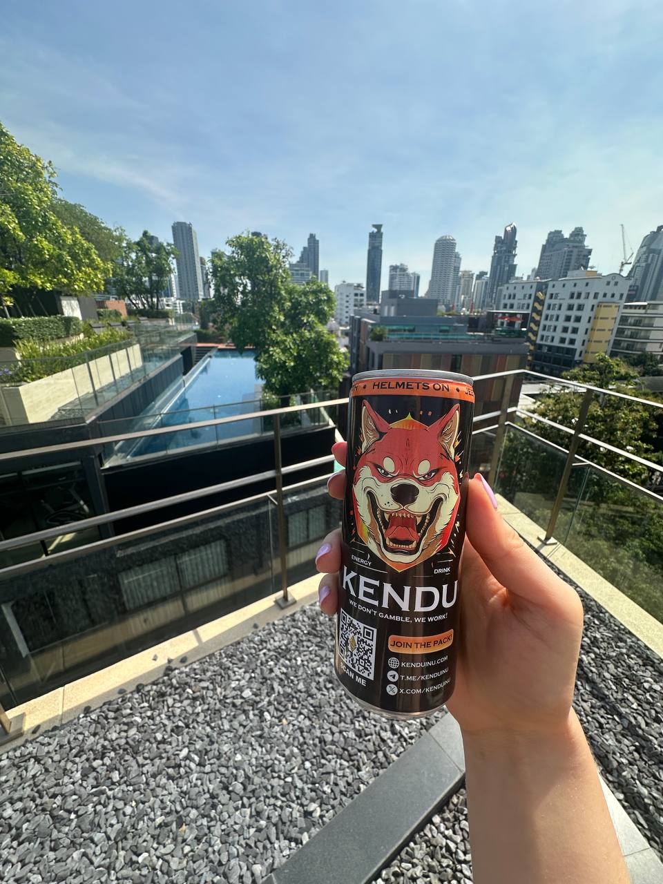 4-Pack Kendu Energy Drinks in Limited Edition Box (Ships to USA)